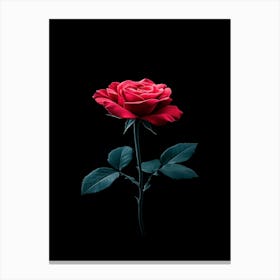 Red Rose On Black Background 62 Canvas Print