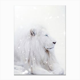 White Lion King Winter Canvas Print