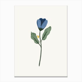 Blue Flower With Butterfly Canvas Print