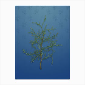 Vintage Sictus Tree Botanical on Bahama Blue Pattern Canvas Print