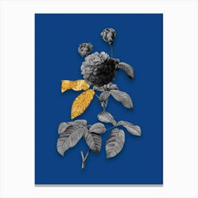Vintage Agatha Rose in Bloom Black and White Gold Leaf Floral Art on Midnight Blue n.0593 Canvas Print