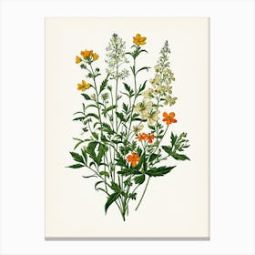 Vintage Botanical Galleria Style Wildflower Painting 39 Canvas Print