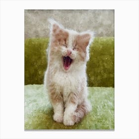 Cat Yawn Canvas Print