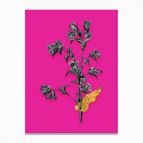Vintage Commelina Tuberosa Black and White Gold Leaf Floral Art on Hot Pink n.0094 Canvas Print