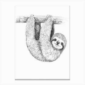 The Smilling Sloth Canvas Print