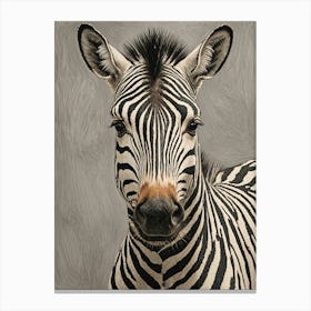 Zebra Canvas Print