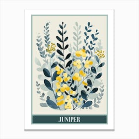 Juniper Tree Flat Illustration 4 Poster Canvas Print