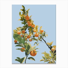 Summer Orange Tree Illustration Canvas Print