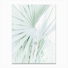 Pretty Palms Canvas Print