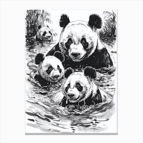 Giant Panda Family Swimming In A River Ink Illustration 3 Canvas Print