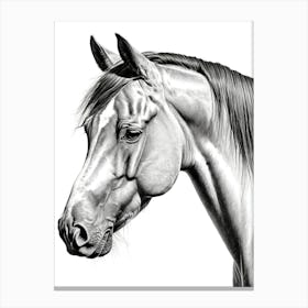 Highly Detailed Pencil Sketch Portrait of Horse with Soulful Eyes 9 Canvas Print