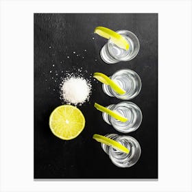 Tequila, salt and lime — Food kitchen poster/blackboard, photo art Canvas Print
