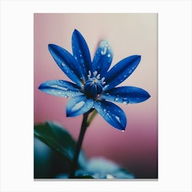 Blue Flower 5 Canvas Print