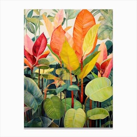 Tropical Plant Painting Rubber Tree Plant 3 Canvas Print