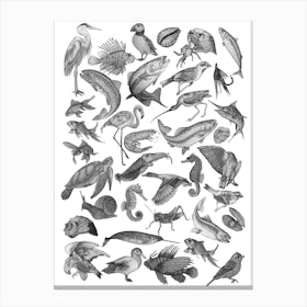 Animal Flash Canvas Print