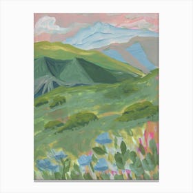 Colorado Summer Canvas Print