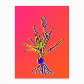 Neon Muscari Ambrosiacum Botanical in Hot Pink and Electric Blue Canvas Print