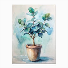 Eucalyptus Painting Canvas Print