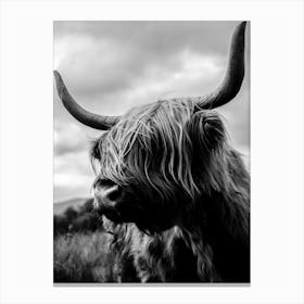 Scottish Highland Cattle Black And White Canvas Print