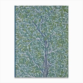 Laurel Oak tree Vintage Botanical Canvas Print