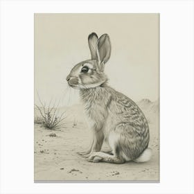 Rhinelander Rabbit Drawing 2 Canvas Print
