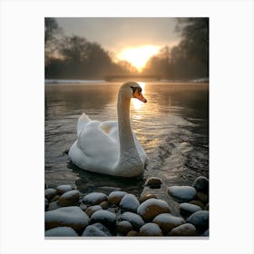 Swan In The Park 4 Canvas Print