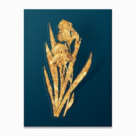 Vintage German Iris Botanical in Gold on Teal Blue n.0145 Canvas Print