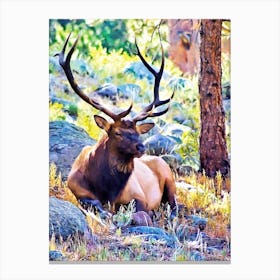 Bull Elk Canvas Print