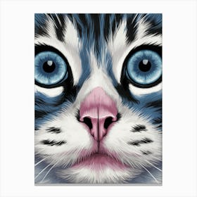 Cat With Blue Eyes Canvas Print