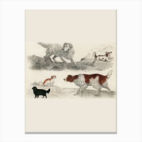 Dog Breeds Canvas Print