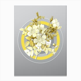 Botanical White Candolle Rose in Yellow and Gray Gradient n.078 Canvas Print