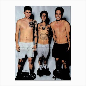 Blink 182 5 Canvas Print