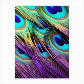 Peacock Feathers 8 Canvas Print