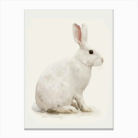 Florida White Rabbit Kids Illustration 2 Canvas Print