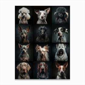 Bunch of beautiful dogs Canvas Print