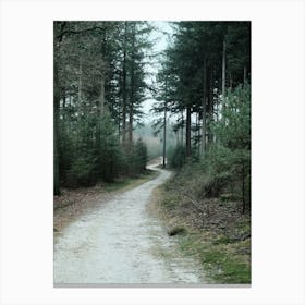 Blue Winter Forest // The Netherlands // Nature Photography  Canvas Print