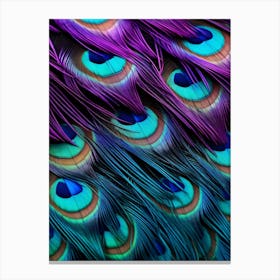 Peacock Feathers 13 Canvas Print