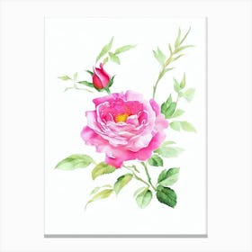 Rose 2 Watercolour Flower Canvas Print