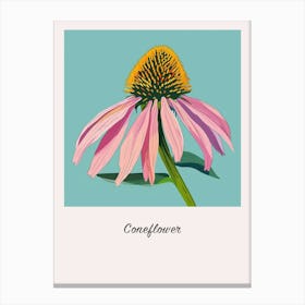 Coneflower Square Flower Illustration Poster Canvas Print