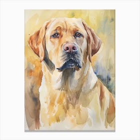 Labrador Retriever Watercolor Painting 3 Canvas Print