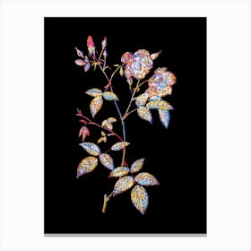 Stained Glass Velvet China Rose Mosaic Botanical Illustration on Black n.0278 Canvas Print
