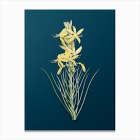 Vintage Yellow Asphodel Botanical Art on Teal Blue n.0095 Canvas Print