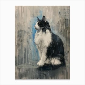 Cat In The Rain 1 Canvas Print