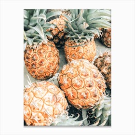 Pineapple Harvest Canvas Print