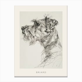 Briard Dog Line Sketch 2 Poster Canvas Print