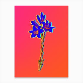 Neon Madonna Lily Botanical in Hot Pink and Electric Blue n.0243 Canvas Print