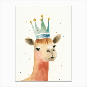 Little Camel 1 Wearing A Crown Canvas Print