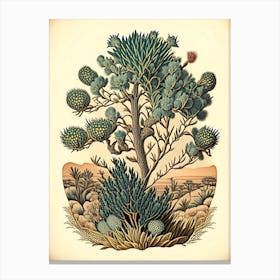 Joshua Tree Wildflower Vintage Botanical Canvas Print