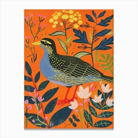 Spring Birds Coot 1 Canvas Print