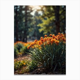 Orange Flowers In The Park Canvas Print